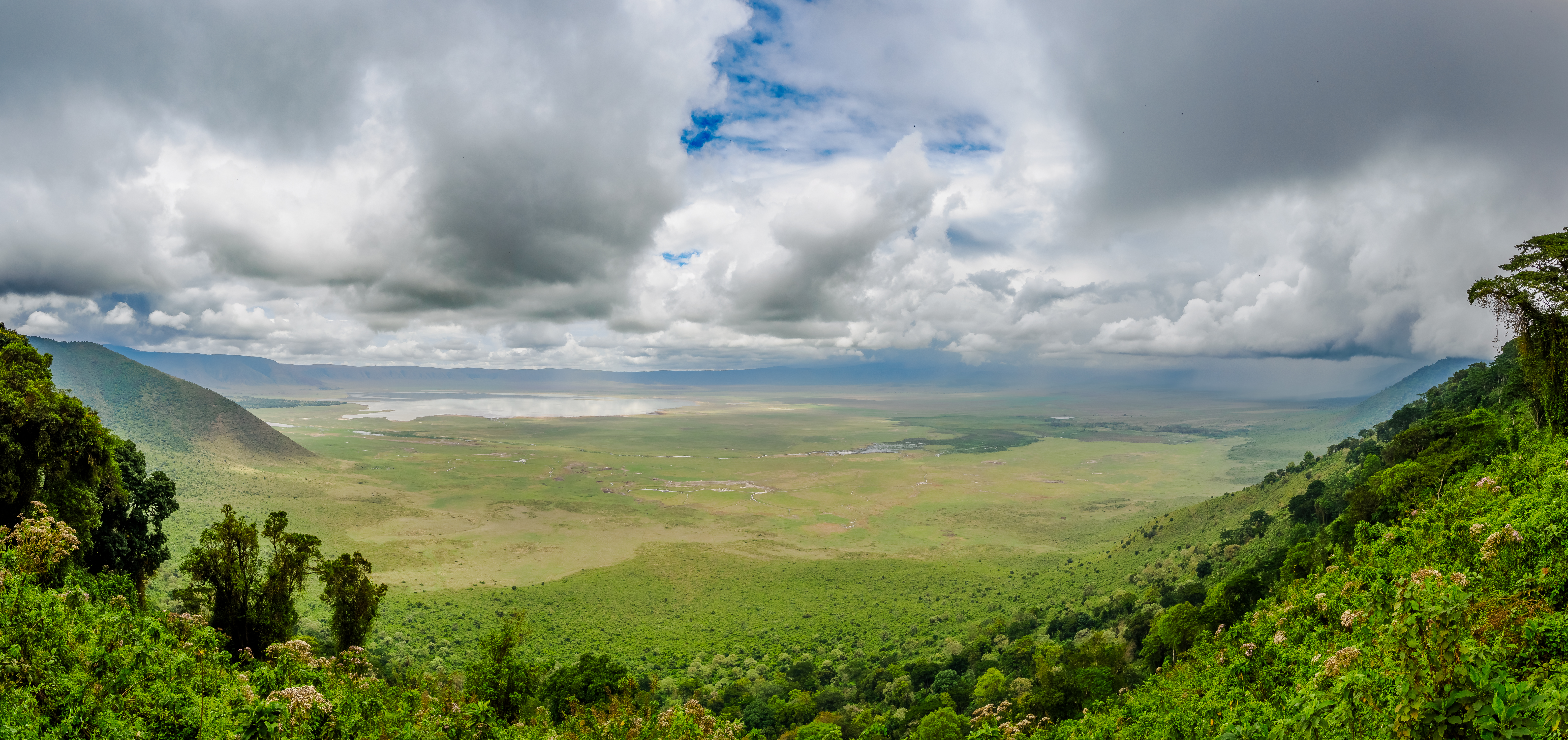 African savanna panorama and wildlife view African savanna panorama and wildlife view